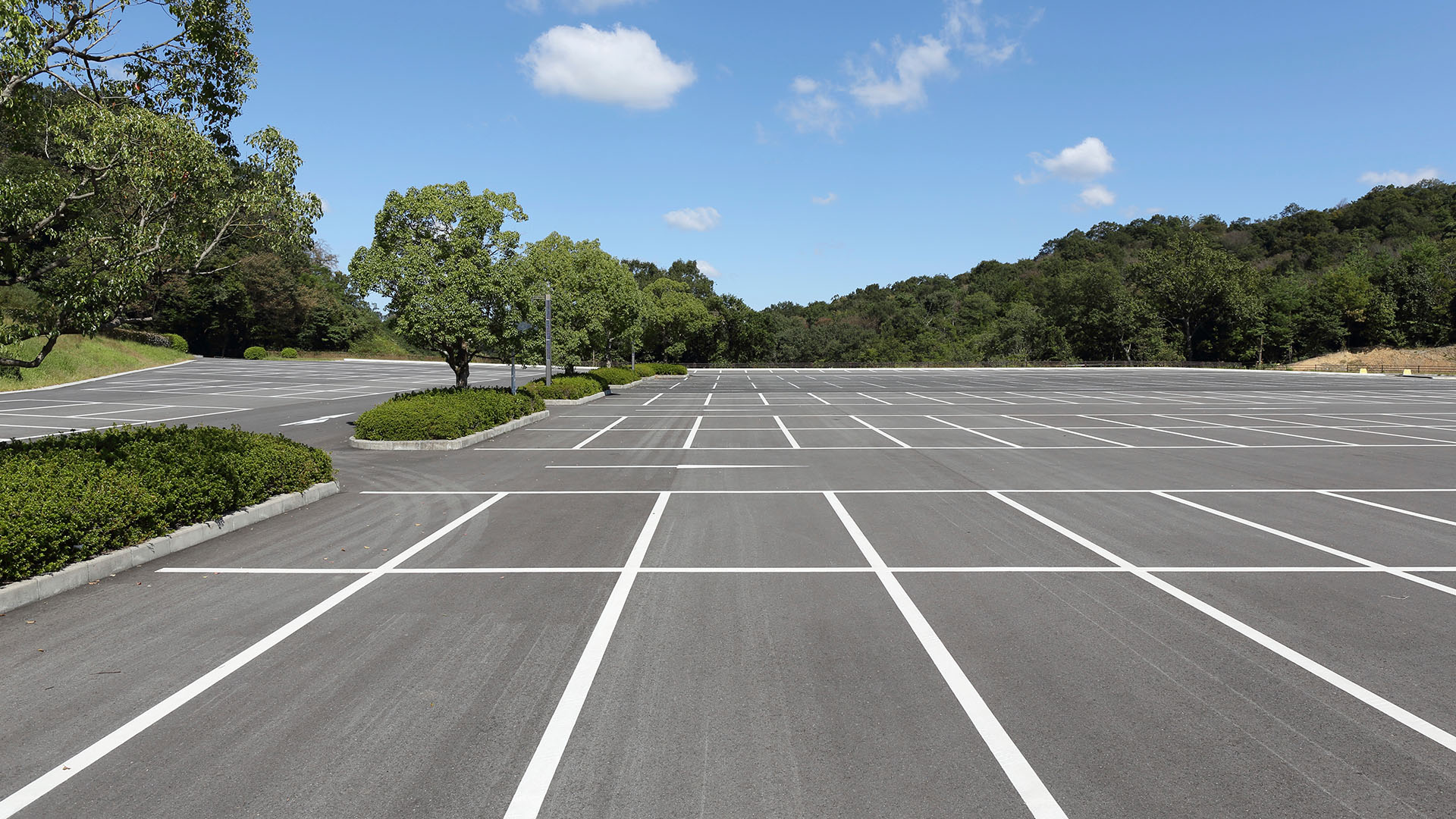 Line Striping Company Near Me